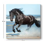 Πίνακας σε καμβά "Black Horse" Megapap ψηφιακής εκτύπωσης 60x60x3εκ. - Image 3